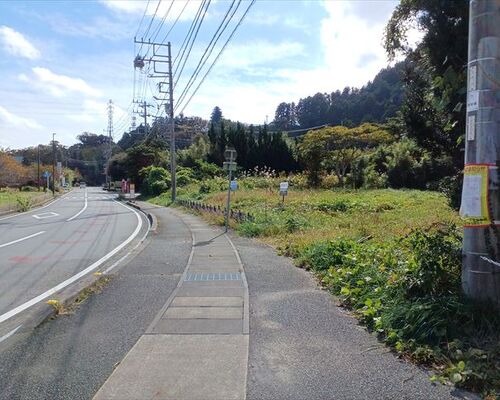 【伊豆】伊東市 池