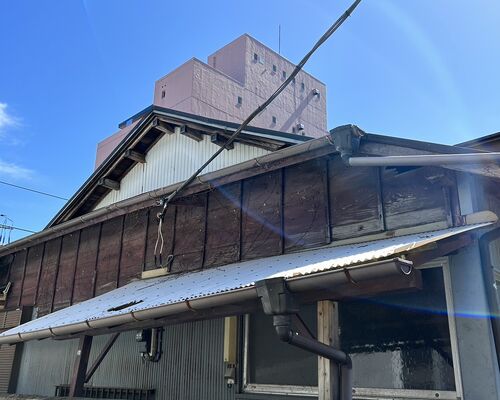 【伊豆】伊東市 松原