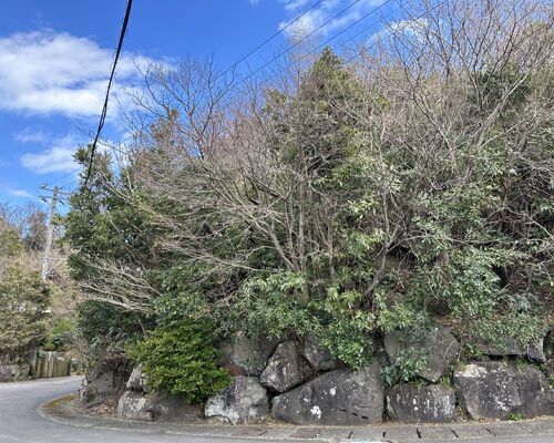 【伊豆】伊東市 川奈