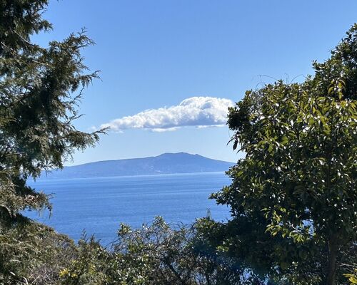 【伊豆】伊東市 赤沢