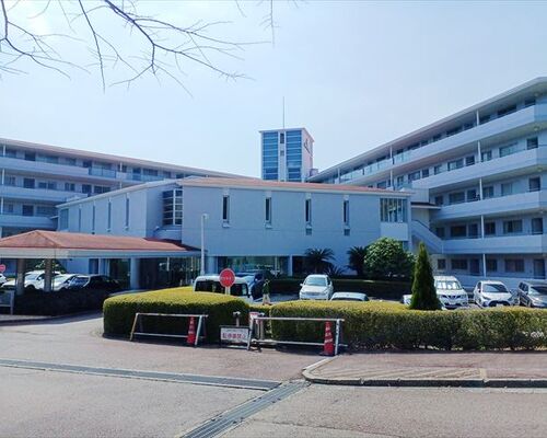 【伊豆】伊東市 富戸