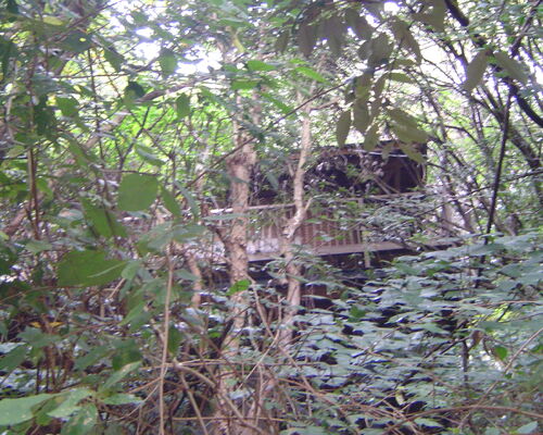 【伊豆】伊東市 赤沢 名鉄赤沢別荘地