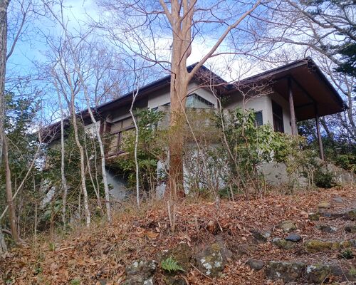 【伊豆】伊東市 池